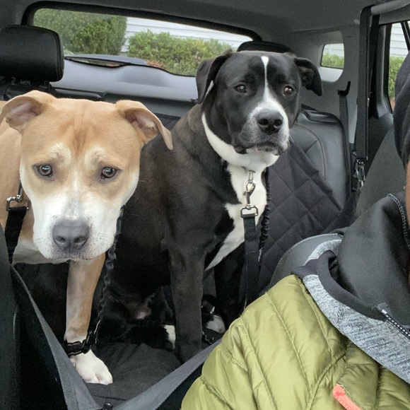 Meet your Posher, Ericka - Picture 1 of 1